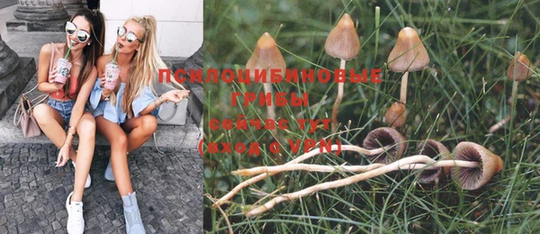 дживик Грязи
