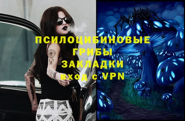 ПСИЛОЦИБИНОВЫЕ ГРИБЫ Магадан