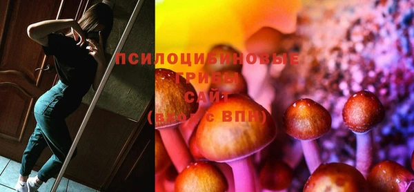 jwh Дубна