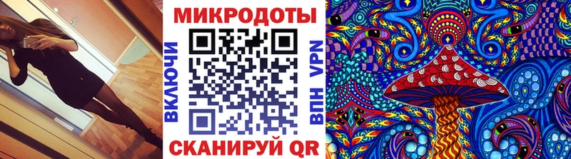 Галлюциногенные грибы Psilocybine cubensis Мосальск